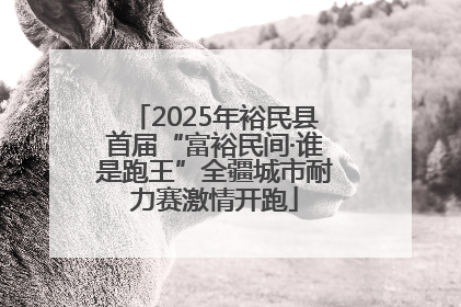 2025年裕民县首届“富裕民间·谁是跑王”全疆城市耐力赛激情开跑
