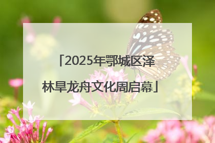 2025年鄂城区泽林旱龙舟文化周启幕