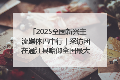 2025全国新兴主流媒体巴中行｜采访团在通江县瞻仰全国最大红军烈士陵园