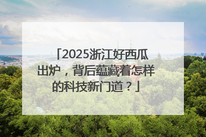 2025浙江好西瓜出炉，背后蕴藏着怎样的科技新门道？