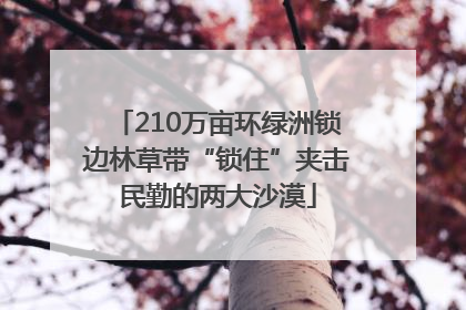 210万亩环绿洲锁边林草带“锁住”夹击民勤的两大沙漠