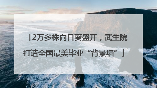 2万多株向日葵盛开，武生院打造全国最美毕业“背景墙”