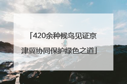 420余种候鸟见证京津冀协同保护绿色之道