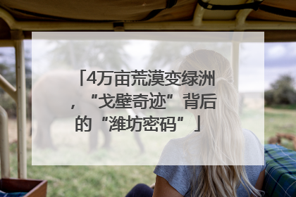 4万亩荒漠变绿洲，“戈壁奇迹”背后的“潍坊密码”
