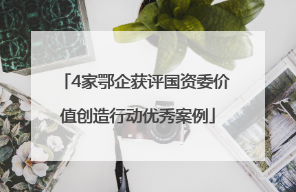 4家鄂企获评国资委价值创造行动优秀案例