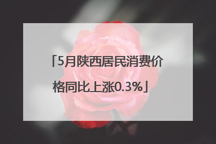 5月陕西居民消费价格同比上涨0.3%