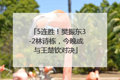 5连胜！樊振东3-2林诗栋，今晚或与王楚钦对决