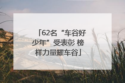 62名“车谷好少年”受表彰 榜样力量耀车谷