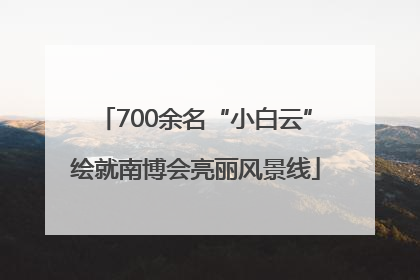 700余名“小白云”绘就南博会亮丽风景线