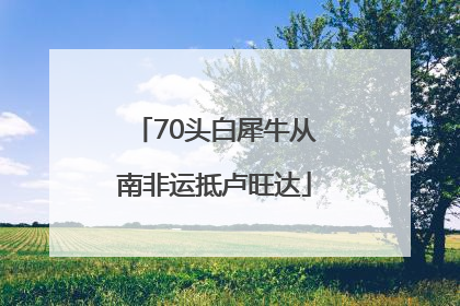 70头白犀牛从南非运抵卢旺达