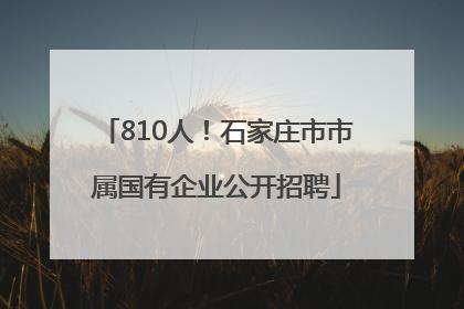 810人！石家庄市市属国有企业公开招聘
