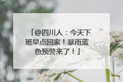 @四川人：今天下班早点回家！暴雨蓝色预警来了！