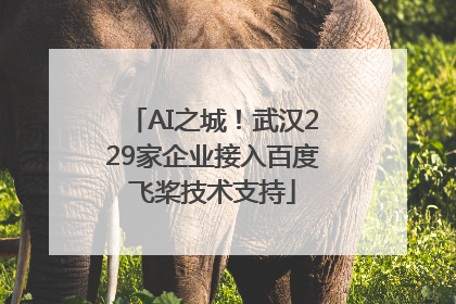 AI之城！武汉229家企业接入百度飞桨技术支持