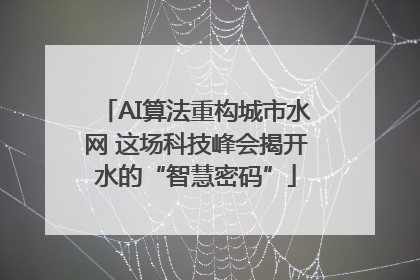 AI算法重构城市水网 这场科技峰会揭开水的“智慧密码”