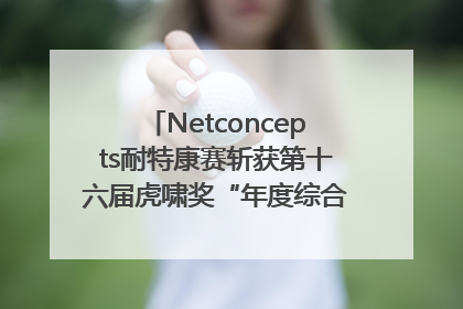 Netconcepts耐特康赛斩获第十六届虎啸奖“年度综合服务商”大奖